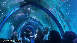 biggest fish aquarium Nagpur Tajbag m  omg😱 under water fish aquarium nagpur [upl. by Silloh]