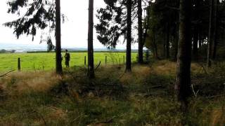 Foxholes Lyle Bouck at Lanzerath Belgium [upl. by Moyna]