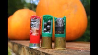 Birdshot Buckshot and Slugs  shooting pumpkins [upl. by Ranzini]