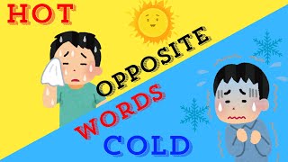 Opposite words  Learn about opposites  Kids Educational Videos [upl. by Odradlig305]