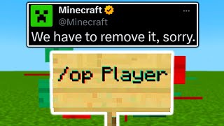 The Powerful Minecraft EXPLOIT Mojang Didnt Want to Fix [upl. by Charmine]