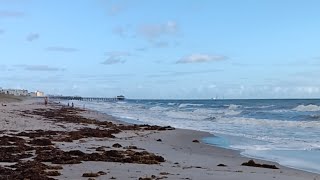 Live Webcam View  Cocoa Beach Pier [upl. by Onaicnop]