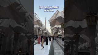 Beautiful Al Masjid An Nabawi Madina umrah shorts [upl. by Aehsrop599]