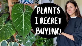 Houseplants I REGRET BUYING [upl. by Wauters]