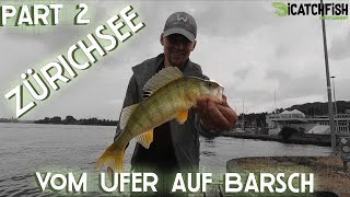 Zürichsee  Vom Ufer auf Barsch  Part 2 Zürich icatchfish perch barsch Egli [upl. by Valdes709]