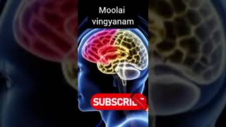 Moolai vingyanam marcopolo  kadhabharatham  peridhinum peridhu kel  tamil audio shorts [upl. by Rigdon]