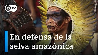 La Amazonía en peligro los pueblos originarios y su lucha por la selva  DW Documental [upl. by Esdnil955]