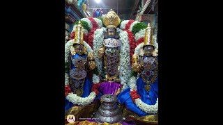 நரசிம்மர் திருமஞ்சனம் Sri Padmavathi Sametha Sri Prasanna Venkatesa Perumal Kovil MGR Nagar 281124 [upl. by Katzman329]