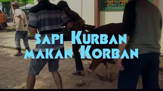 KEJADIAN NYATA SAPI KURBAN MAKAN KORBAN [upl. by Tsew808]