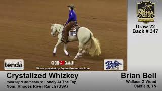 🥇 Champion NRHA Futurity 2023 Brian Bell amp Crystalized Whizkey Second Ride 224½ [upl. by Pain]