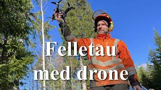 Drone til sikring ved trefelling [upl. by Kannav766]