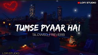 Mind Relax Lofi Song Slowed Reverb 🔥 Tumse Pyaar Hai ❤️  New Best Lofi Song  LOFISTUDIO134 [upl. by Alakcim960]