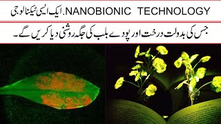 Nanobionic Glowing Plants  Plants Communication  Nanobionic Technology Explained In Urdu Hindi [upl. by Sitruk]