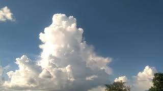 cumulus cloud turning into cumulonimbus cloud [upl. by Ane837]