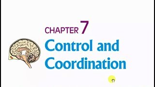 Control and Coordination  Class 10 Science  Ch 7 Part 1 [upl. by Eulalie]