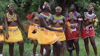 Tribe Dance Umemulo kaBule [upl. by Meeker]