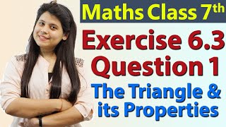 Q 1 Ex 63  The Triangle and its Properties  Chapter 6  Maths Class 7th  NCERT [upl. by Nnaeiram221]