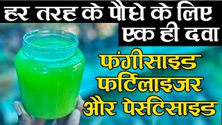 हर तरह के पौधे के लिए एक ही दवा फंगीसाइड फर्टिलाइजर और पेस्टिसाइड  Benefits of Aloe vera Plant [upl. by Roxanna]