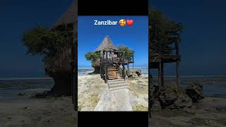 Vacanza zanzibar 2024 [upl. by Scriven]