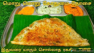 மொறு மொறு கோதுமை தோசை  Godhumai Dosai in tamil Coconut Chutney Peanut Tomato Chutney Wheat Dosa [upl. by Aromas]