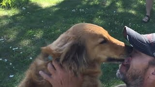 Dog reunited with owner [upl. by Charla622]