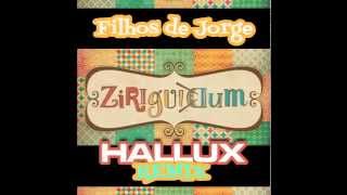 Filhos de Jorge  Ziriguidum Hallux Makenzo Remix [upl. by Fisa]