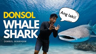 I Swam With WHALE SHARKS In Donsol [upl. by Chellman]