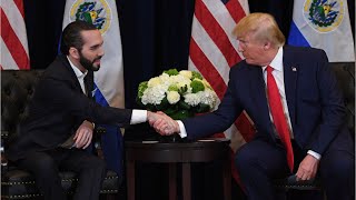 Donald Trump slams El Salvadors Nayib Bukele as MAGA Republicans praise him [upl. by Anees721]