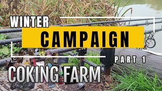 Winter Campaign For Big CARP  Coking Farm  Giveaway [upl. by Cato]