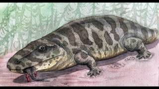 Prehistoric Information Eryops [upl. by Chic]