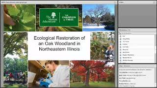 2018 MIPN Invasive Plants and Restoration Webinar 3 Forest Oak Regeneration [upl. by Yanffit953]