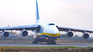 INCREDIBLE ANTONOV An124 LANDING  Larnaca Airport Plane Spotting [upl. by Adnoved]