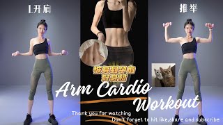 Arm Cardio Workout [upl. by Nirre]