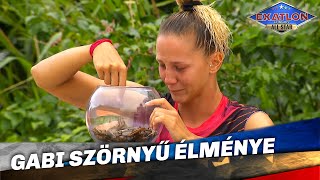 Gabi Szörnyű Élménye  Exatlon Hungary All Star  4 Évad  46 Adás [upl. by Niarbo]