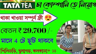 মাসে 29000 টাকা  প্যাকিং কাজ  Tata tea job vacancy 2024  High Salary job kolkata [upl. by Hgielsa]