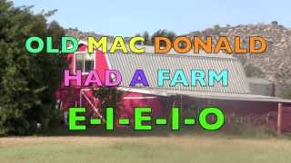 OLD MAC DONALD HAD A FARM  Nursery Rhyme Song  Animal Sounds Part 2 Learn ENGLISH [upl. by Ococ]