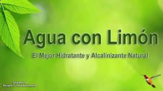 El Mejor Hidratante y Alcalinizante Natural  Razones para Tomar Agua con Limón [upl. by Eirelav497]