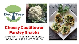 How to prepare Cheesy Cauliflower Parsley Snack from fresh harvest Phool Gobi amp herbs  Hindi  Urdu [upl. by Ainer]