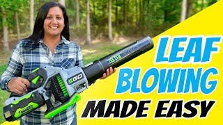 Leaf Blowing Made Easy  5 Top Tips [upl. by Scarface]