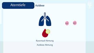 Die Atmung Normwerte und Abweichungen [upl. by Marthe]