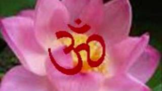 Om Chanting and Om Meditation Sri Amit Ray [upl. by Inalel270]