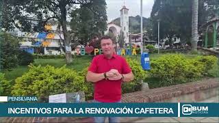 Incentivos para la renovación cafetera Pensilvania [upl. by Niltak]