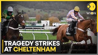 Racing Fans Left Shocked As Winning Horse Dies At Cheltenham With Two Others Also Confirmed Dead [upl. by Meill]