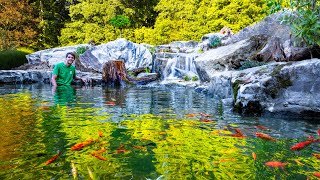 Making a Serene Waterfalls Mini Ecosystem Lake Feeder Goldfish Sanctuary [upl. by Ahsiya]