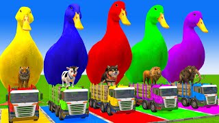 5 Giant Duck CartoonCowElephantTigerLionGorilla Paint Wild Animals Crossing Fountain Animation [upl. by Aronael8]