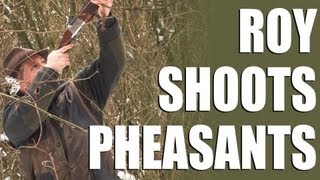 Driven pheasants  Roy goes on a shoot day in Hampshire [upl. by Nylek]