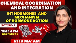 GIT Hormones and Mechanism of Hormone Action  Chemical Coordination and Integration Ritu Rattewal [upl. by Zobias]