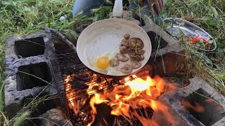 MIHBAŞI MANTARIMIHTEPESİ MANTARI yumurtalı mıhbaşı Marasmius oreades [upl. by Nylirak]