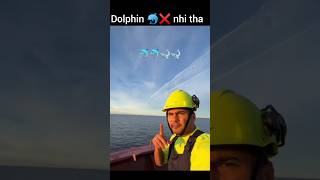 Wo Dolphins nhi tha dosto❌🙏😱😅msc ship wheels dolphin shark youtubeshorts viralvideo trending [upl. by Annabell]