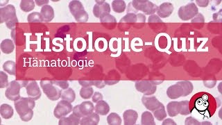 DocCheck HistologieQuiz Hämatologie [upl. by Cann]